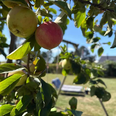 Cozy Small With Sea View * Osterby (Sonderjylland)