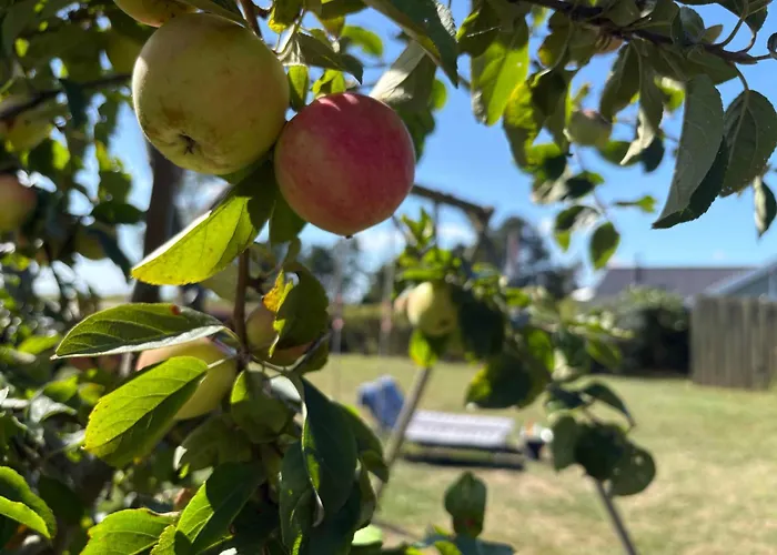 Cozy Small With Sea View * Osterby (Sonderjylland)
